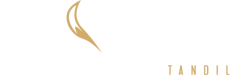 rincon-del-zorro---logo-H--byn